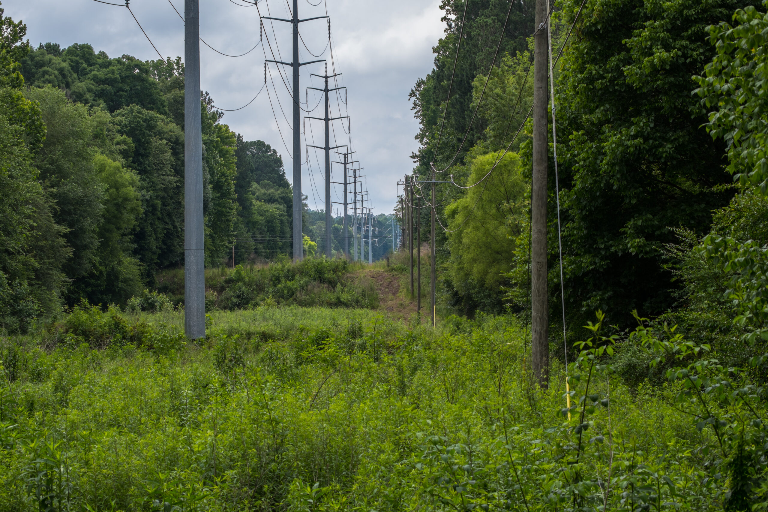 vecteezy utilities and power lines parallel 43331467 scaled