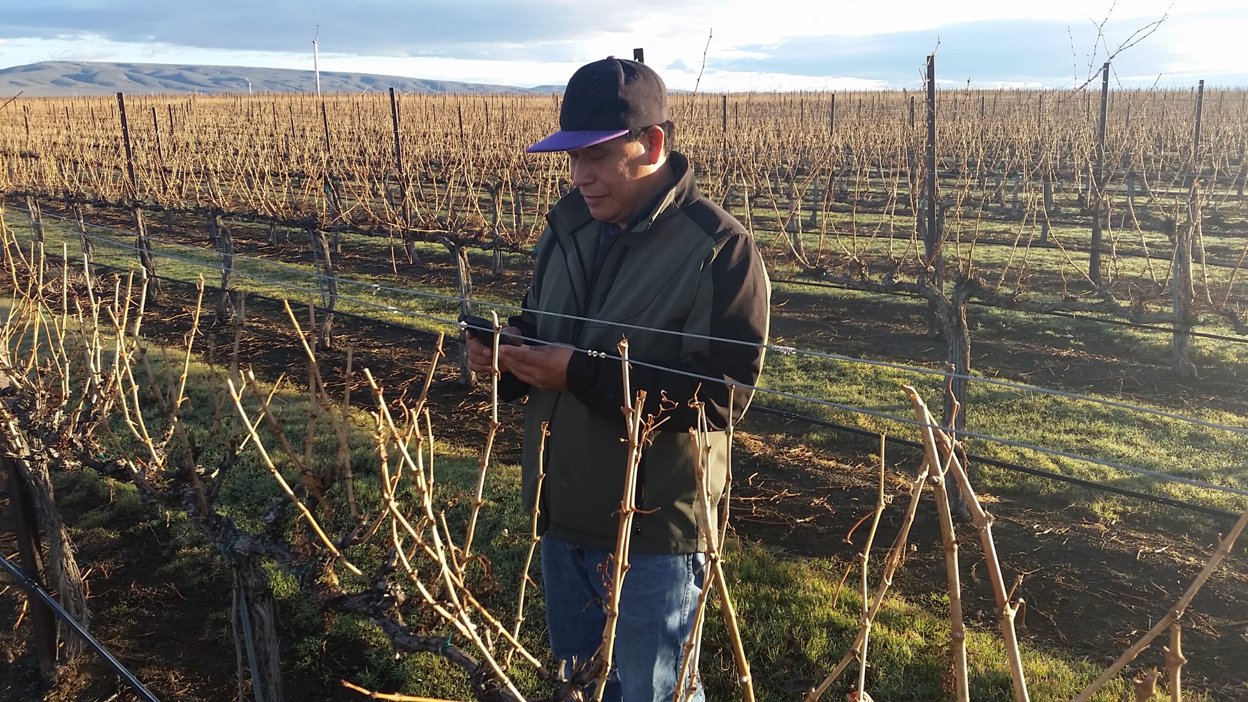 20160215 080204 scaled