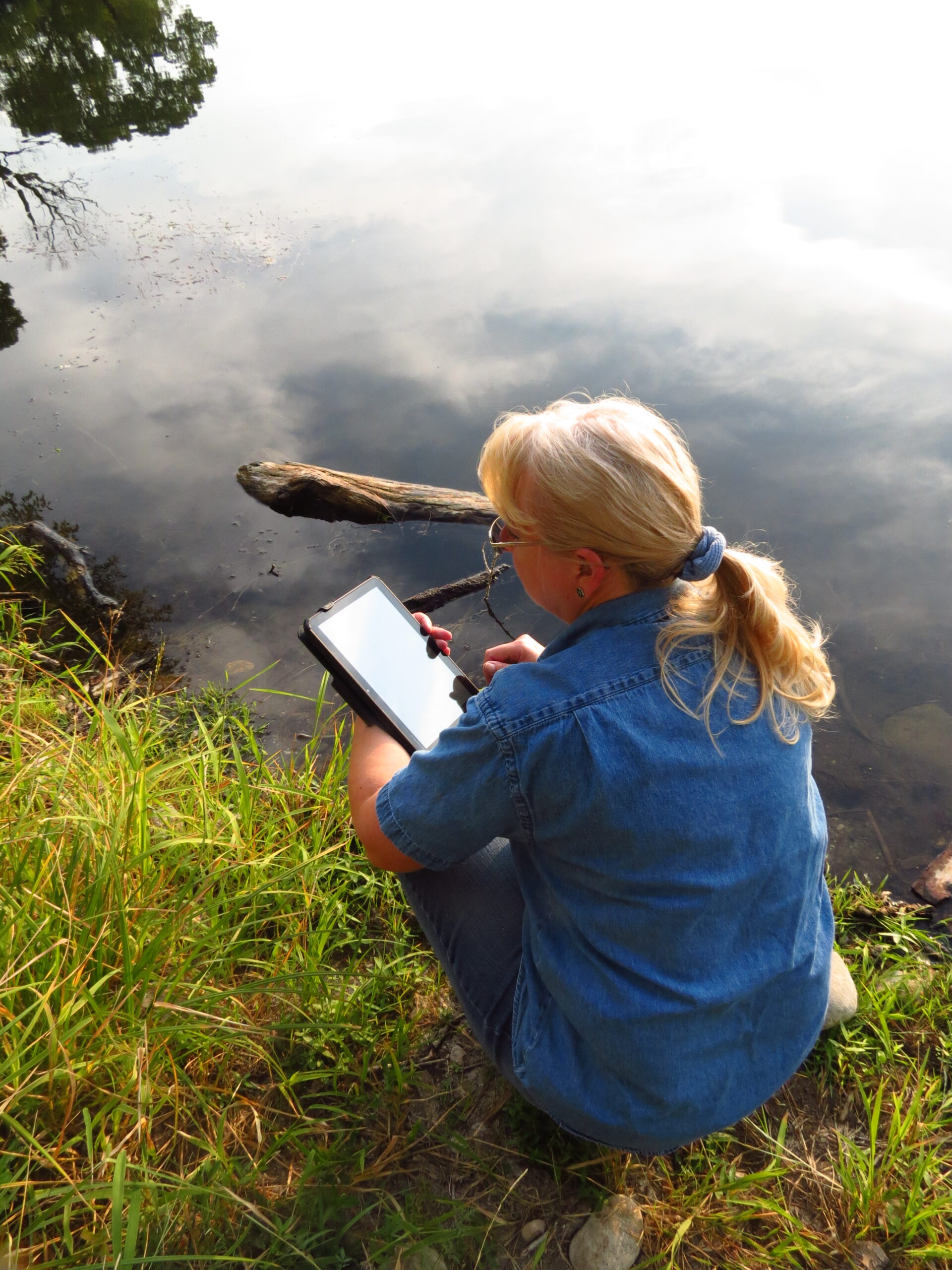 Strider Forms and Reports interface on a tablet, showcasing customizable digital data collection.