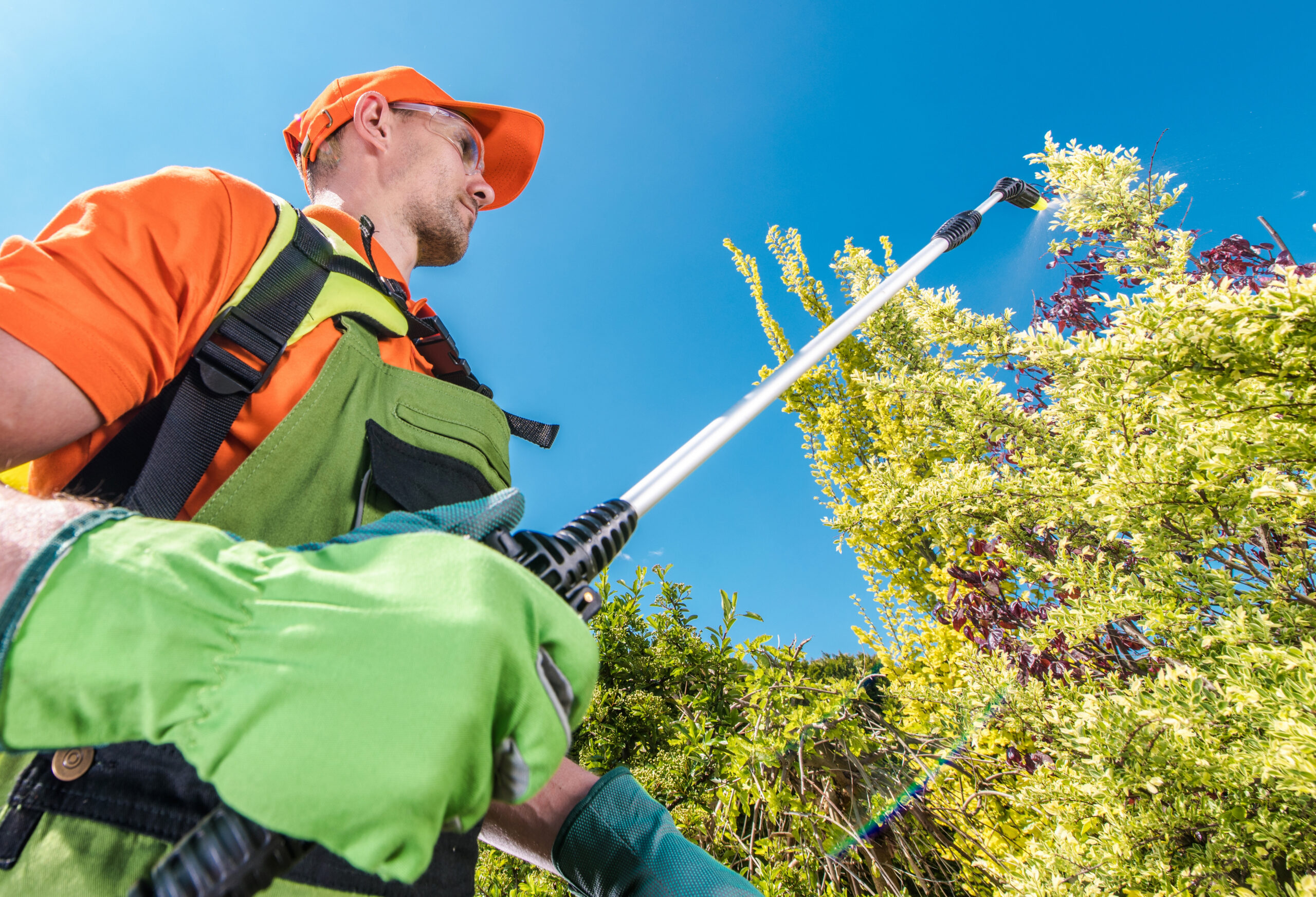 Weed spraying scaled