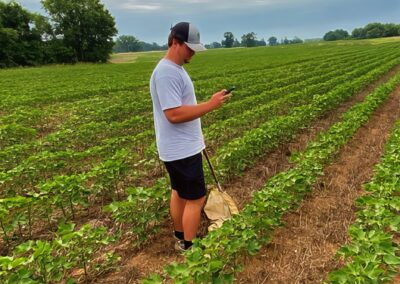 Revolutionizing Crop Consulting